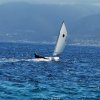 Trofeo Velico Nautici Italia